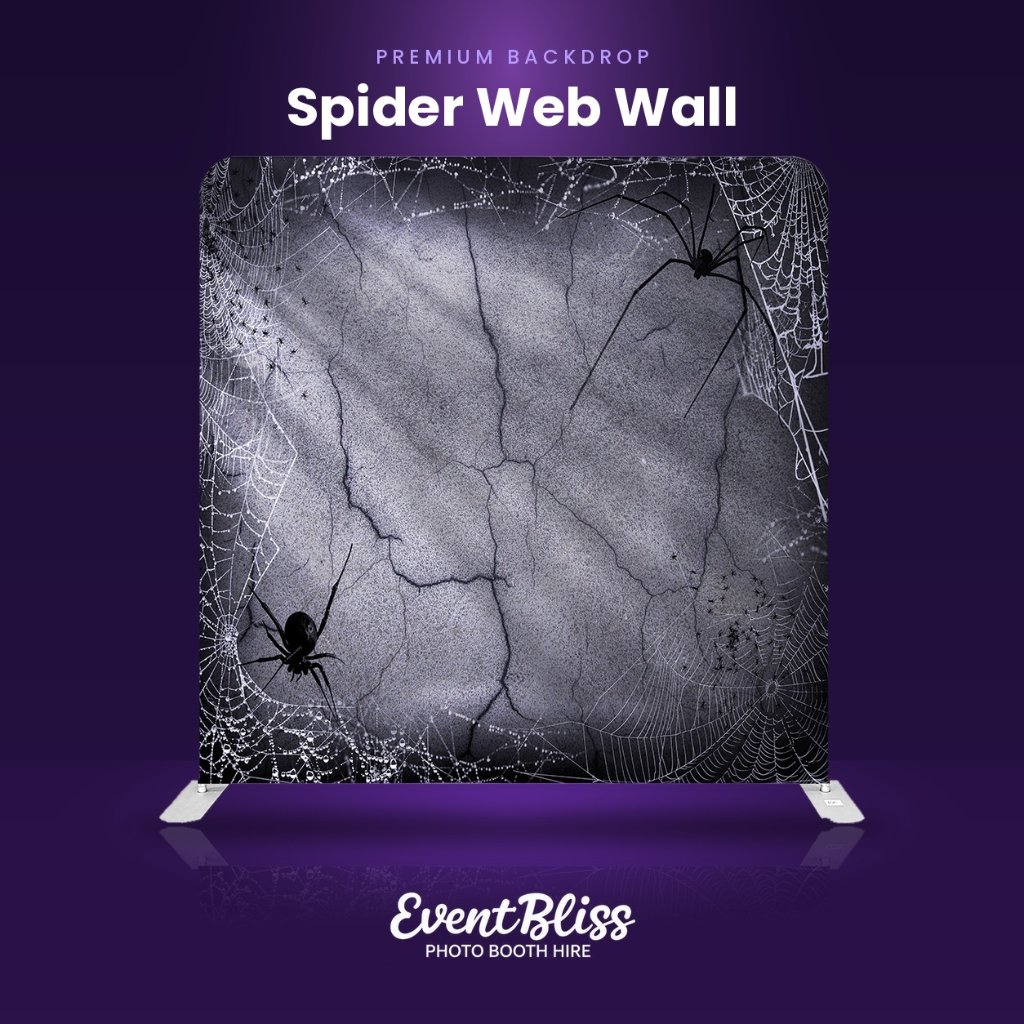 Backdrop (Spider Web Wall)