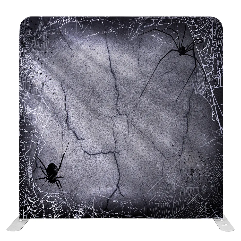 Backdrop (Spider Web Wall)