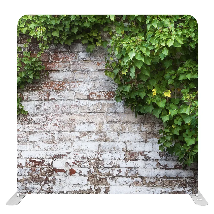 Backdrop (Vines on Brick Wall)